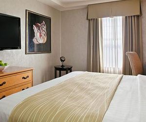 Residence Inn Saint Louis Downtown St. Louis United States