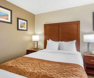 Comfort Inn Tunnel Road East Asheville United States