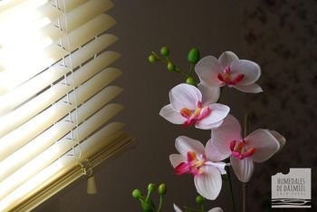 صورة الفندق 16