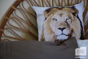 صورة الفندق 19