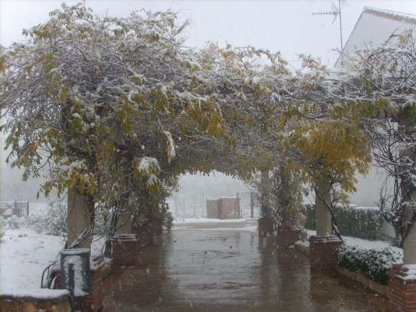 صورة الفندق 12