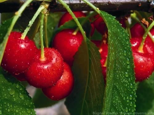 صورة الفندق 20