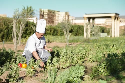 صورة الفندق 16
