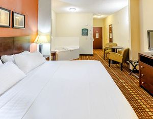 Comfort Inn & Suites Canton United States