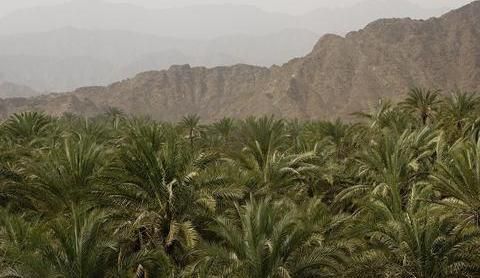 صورة الفندق 12