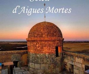 Locations Soleil dAigues Mortes Aigues-Mortes France