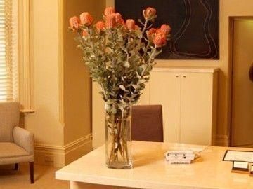 صورة الفندق 16