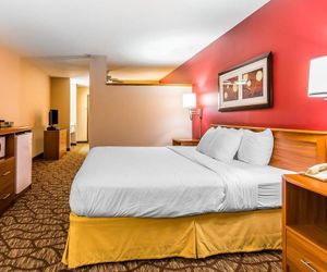 Quality Inn & Suites Chesterfield Village Springfield United States