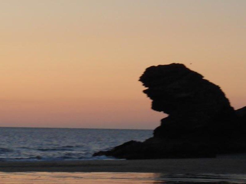 صورة الفندق 21