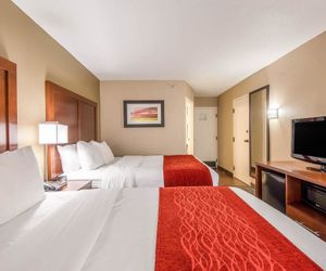 Comfort Inn Greenville - Haywood Mall Greenville United States