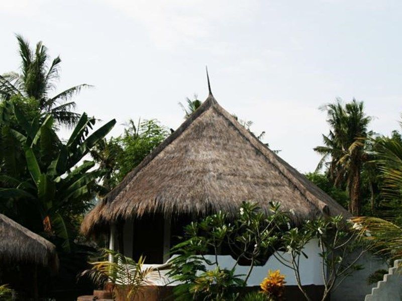 صورة الفندق 24