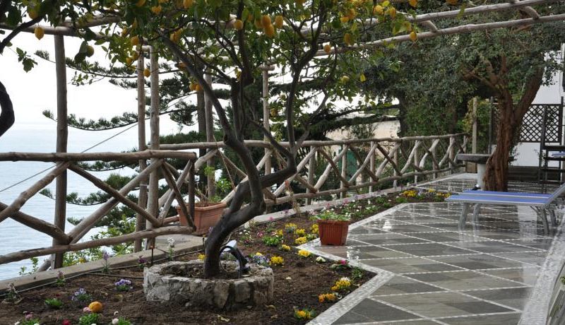 صورة الفندق 9