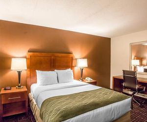 Comfort Inn Downtown Chattanooga Chattanooga United States