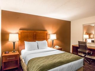 Фото отеля Comfort Inn Downtown Chattanooga