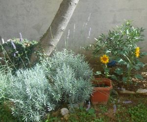 Apartment Filuro Kotor Montenegro