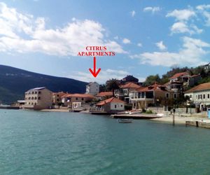 Apartments Citrus Denovic Montenegro