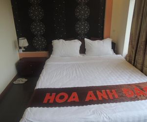 Hoa Anh Dao Rach Gia Vietnam