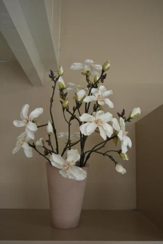 صورة الفندق 16