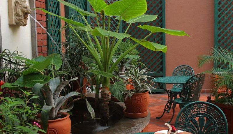 Hotel Photo 21
