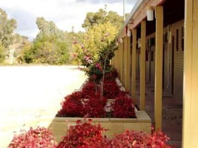 صورة الفندق 16