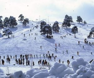 SIMIC Zlatibor Serbia