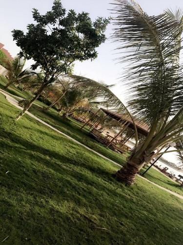 صورة الفندق 18