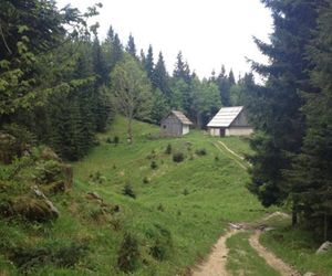 Chalet Bohinj Bohinjsko Jezero Slovenia