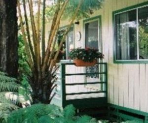 Hapuu Fern Cottage Volcano Village United States