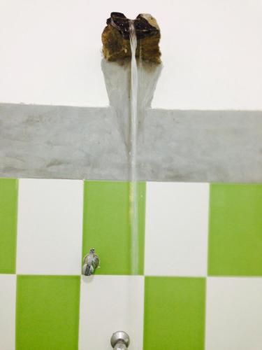 صورة الفندق 7