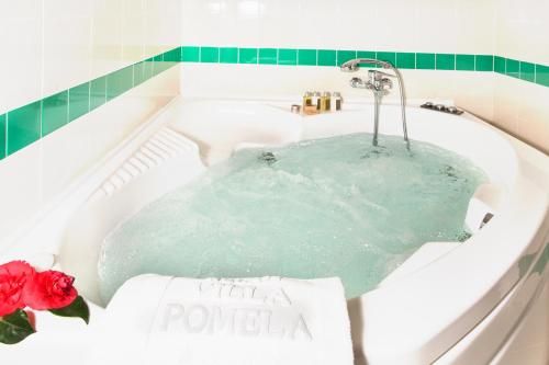 Hotel Photo 9