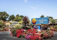 Отзывы Comfort Inn Monterey by the Sea, 3 звезды