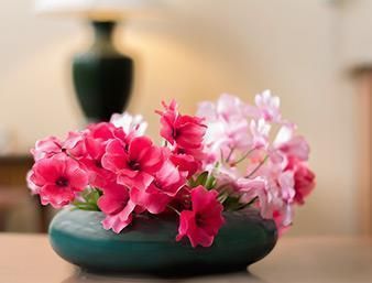 صورة الفندق 16