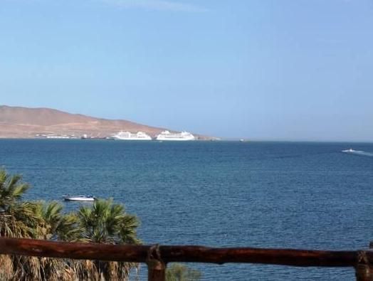 صورة الفندق 21