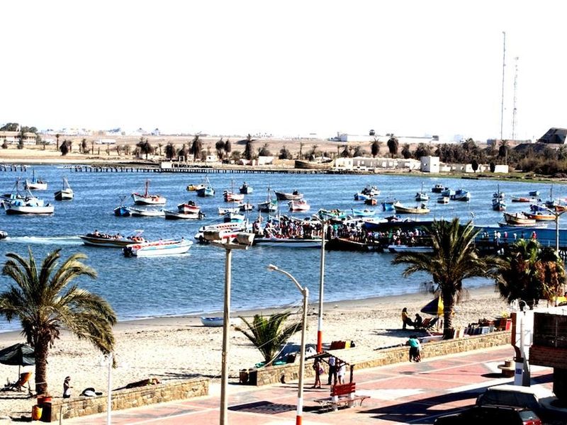 صورة الفندق 24