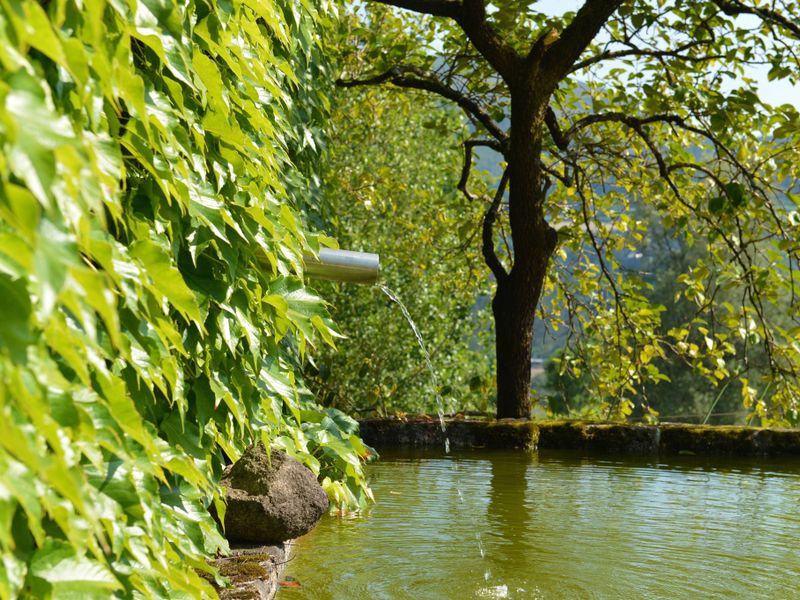 صورة الفندق 23