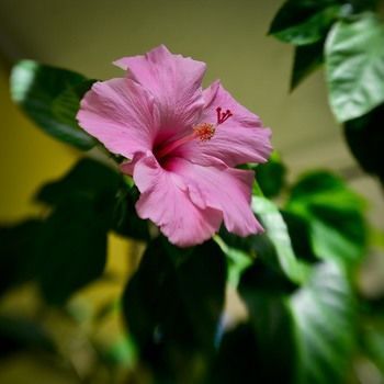 صورة الفندق 18