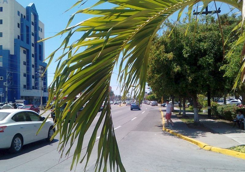صورة الفندق 22