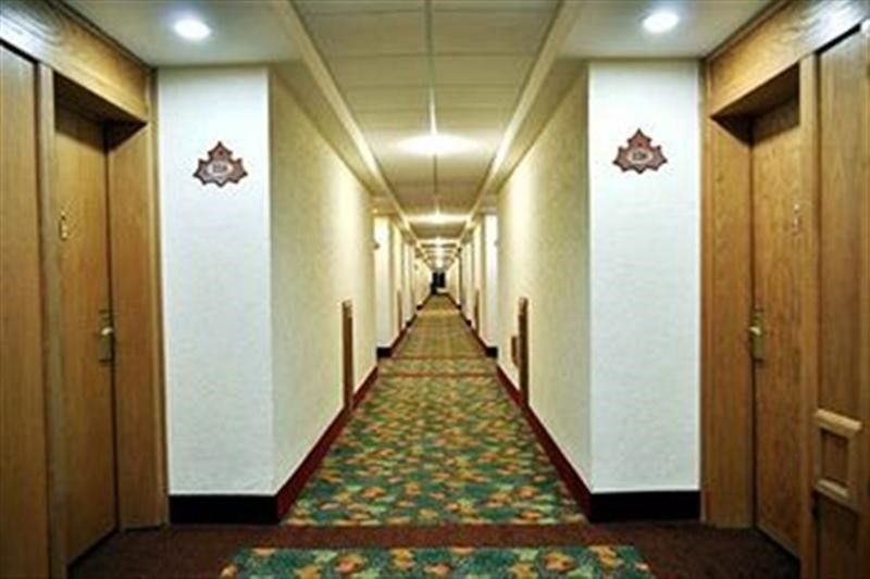 صورة الفندق 15