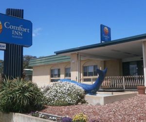 Best Western The Clarence on Melville Albany Australia