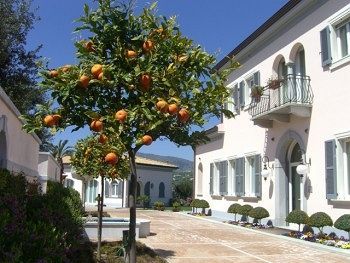 صورة الفندق 24