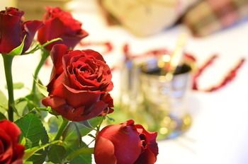 صورة الفندق 16