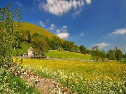 صورة الفندق 12