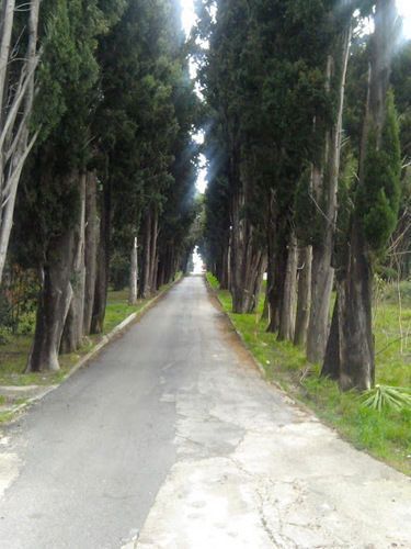 صورة الفندق 21