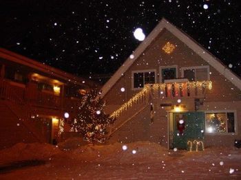 صورة الفندق 24
