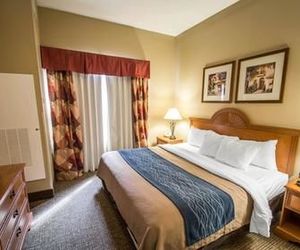 Comfort Inn & Suites Saint Augustine Saint Augustine United States