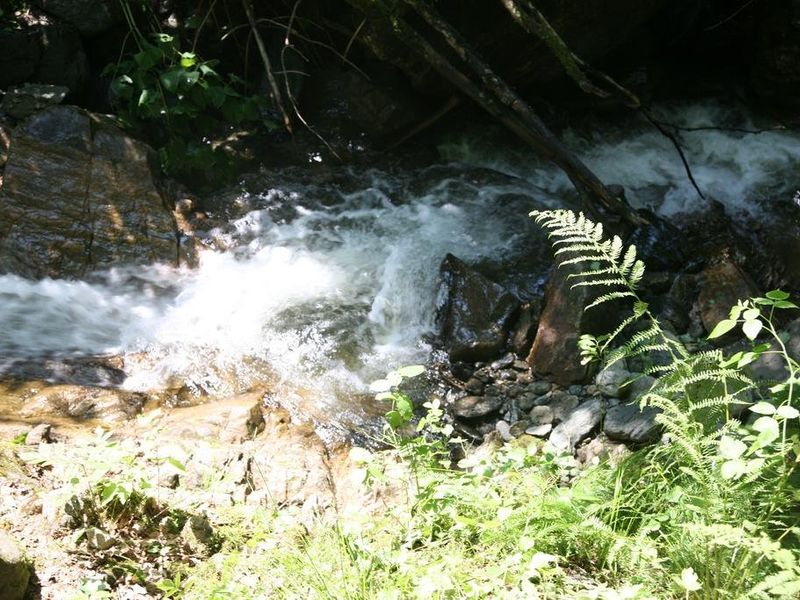 صورة الفندق 11