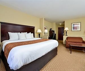 Holiday Inn Express Hotel & Suites Mobile West Mobile United States