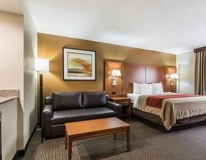 Comfort Inn I-65 at Airport Blvd Mobile United States