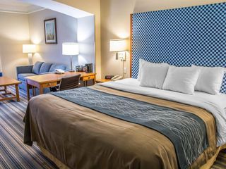 Hotel pic Comfort Inn & Suites Savannah Airport