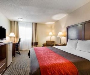 Comfort Inn Moreno Valley near March Air Reserve Base Moreno Valley United States